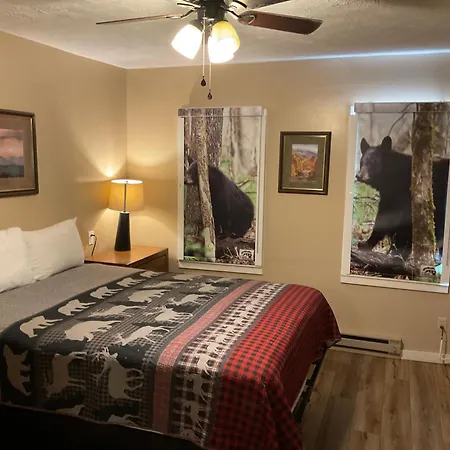 Carr'S Northside Hotel And Cottages Gatlinburg Extérieur photo